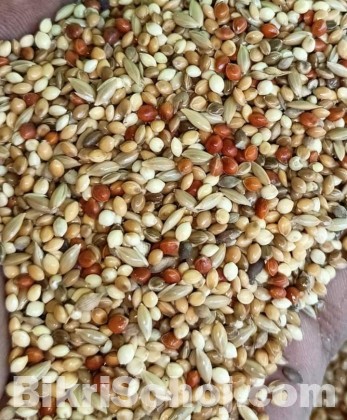 Seedmix